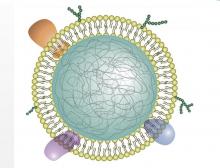 Les nanosponges étouffent la cascade inflammatoire dans l'œuf et tels des leurres de neutrophiles, trompent et interceptent les cytokines et les empêchent de signaler encore plus de neutrophiles aux articulations Les nanosponges étouffent la cascade inflammatoire dans l'œuf et tels des leurres de neutrophiles, trompent et interceptent les cytokines et les empêchent de signaler encore plus de neutrophiles aux articulations